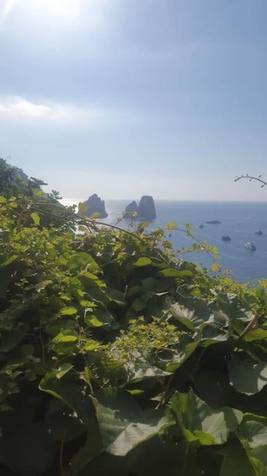 Casa Al Mare Villa Capri Esterno foto
